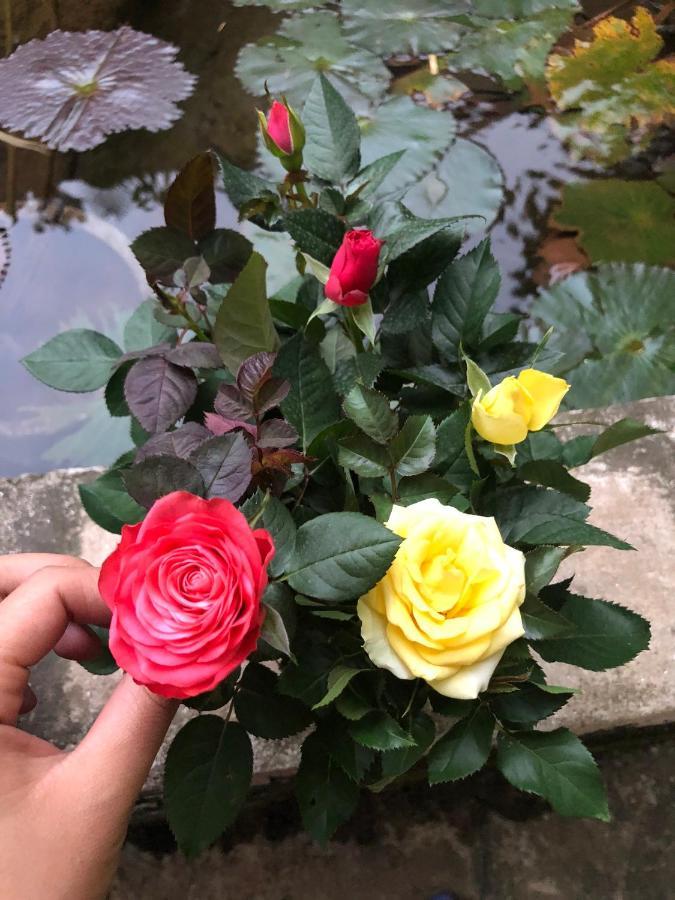 הא גיאנג Son Thuy Homestay מראה חיצוני תמונה
